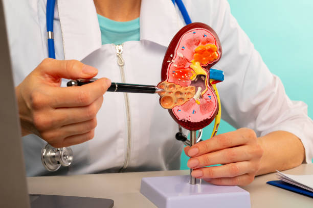 Best Urologist For kidney Stone Treatment in Vartak Nagar,Thane